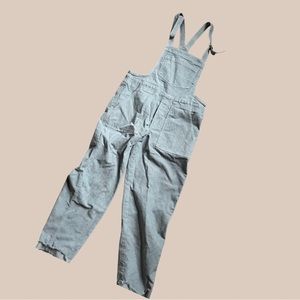 Aerie Blue Corduroy Overalls